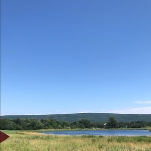 Meet your Posher, Mitch